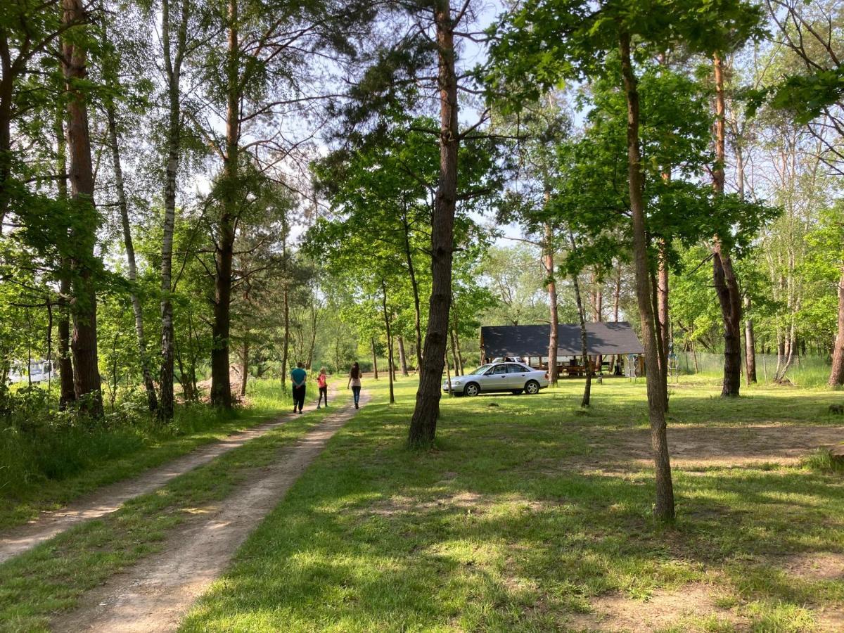 Campsite Lesne Zacisze-pole Namiotowe