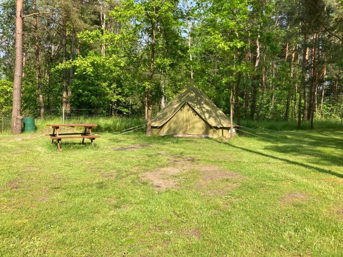 Lesne Zacisze-pole Namiotowe Pisklaki